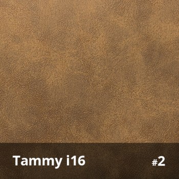Tammy i16 2
